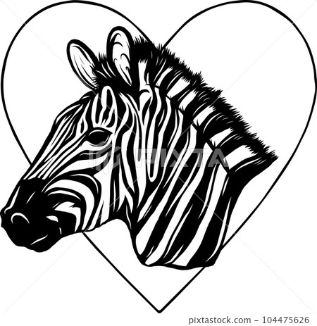 Zebra animal illustration, nature conservation vector black and white Zebra animal illustration, nature conservation vector black and white 104475626