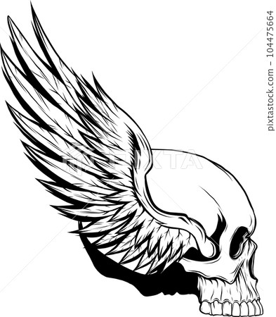 Black and white human skull vector illustration 104475664