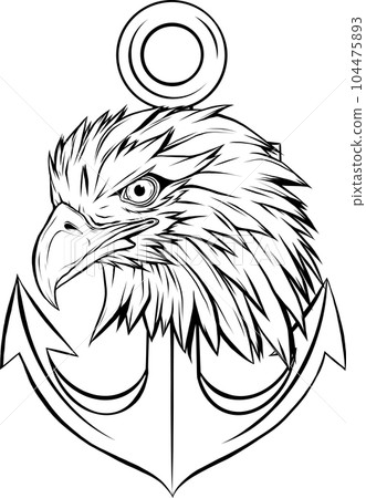 Bald eagle head, black and white isolated on white background 104475893