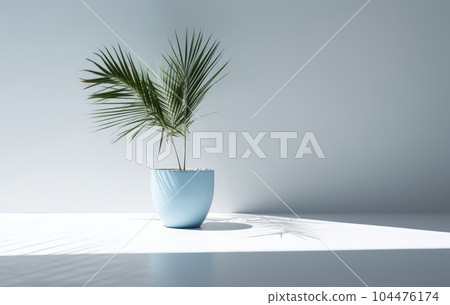Light blue wall with shade and plant on the floor in a vase Light blue wall with shade and plant on the floor in a vase 104476174