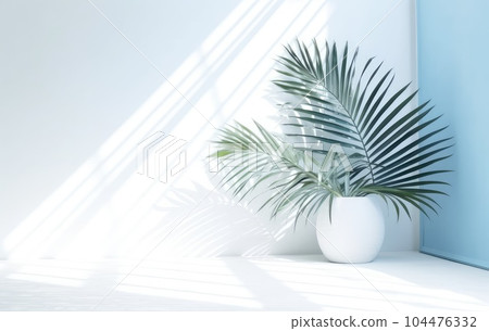 Light blue wall with shade and plant on the floor in a vase Light blue wall with shade and plant on the floor in a vase 104476332