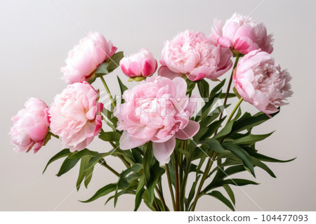 Pink peonies 104477093