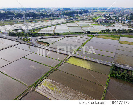 Ebina's rice paddy landscape from above...beautiful with water in the paddies 104477172