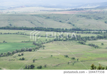 Panoramic view of the green fields of western Bulgaria in sunny summer weather. 104477338