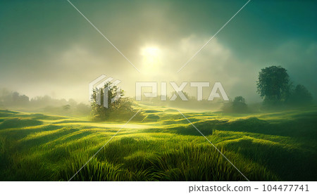A field with green tall grass against the backdrop of a foggy forest and the sun behind the clouds. AI-generated 104477741
