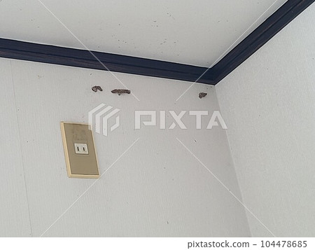 Examples of termite extermination materials background (termite nest removal work) Examples of termite extermination materials background (termite nest removal work) 104478685