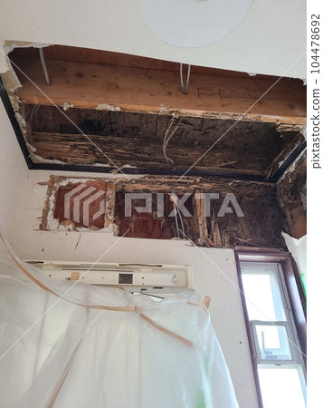 Examples of termite extermination materials background (termite nest removal work) 104478692