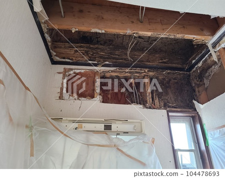 Examples of termite extermination materials background (termite nest removal work) 104478693