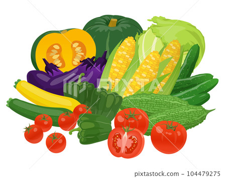 Illustration of summer vegetables 104479275
