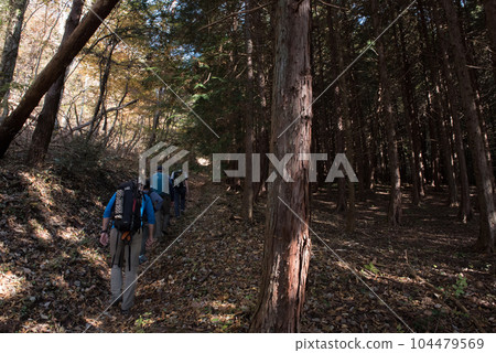 山梨縣大月市山梨名山百選的秋季百藏山路線登山口附近的登山者和樹木 山梨縣大月市山梨名山百選的秋季百藏山路線登山口附近的登山者和樹木 104479569