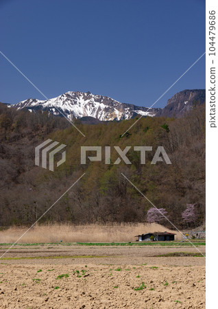Mt.Tengu with remaining snow in the sprouting season 104479686