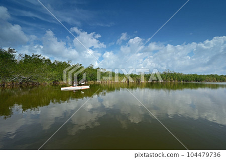 Woman kayaking on Nine Mile Pond in Everglades National Park, Florida. 104479736