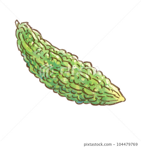 一整個苦瓜水彩風格（透明背景） 104479769