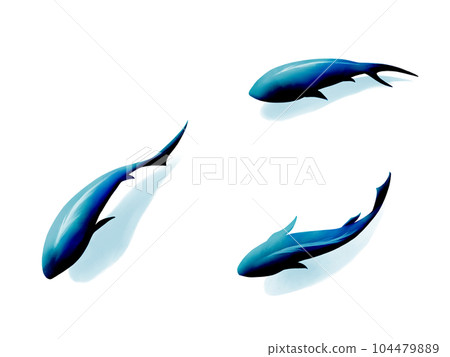 從上面看到的一條簡單而神秘的藍色魚的水彩插圖(帶陰影) 從上面看到的一條簡單而神秘的藍色魚的水彩插圖(帶陰影) 104479889
