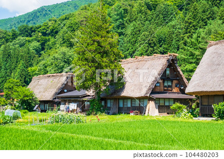 Summer Shirakawa Town Summer Shirakawa Town 104480203
