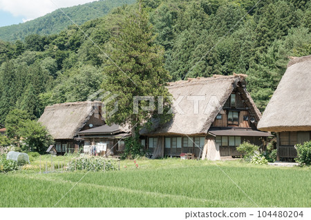 Summer Shirakawa Town Summer Shirakawa Town 104480204