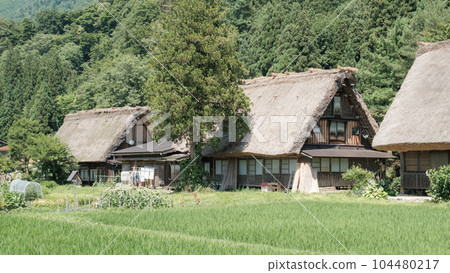 夏川白川鎮 104480217