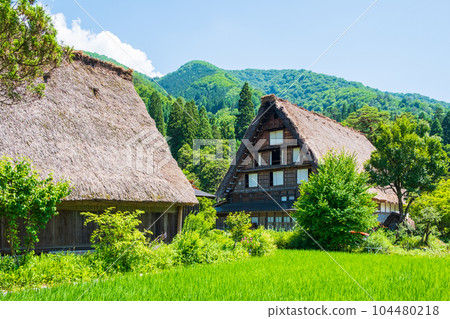 夏川白川鎮 104480218