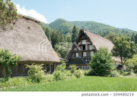 Summer Shirakawa Town 104480219