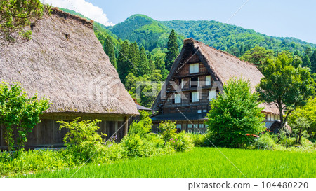 Summer Shirakawa Town 104480220