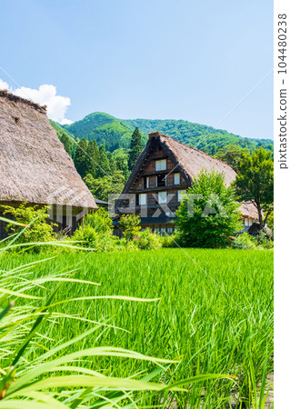 Summer Shirakawa Town Summer Shirakawa Town 104480238