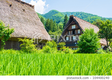 Summer Shirakawa Town Summer Shirakawa Town 104480240