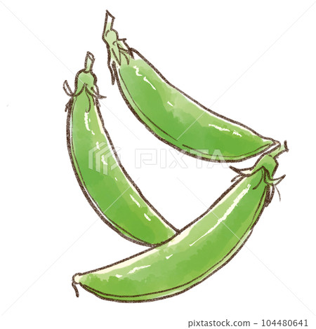 3 snap peas watercolor style (transparent background) 104480641
