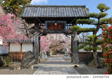 山梨縣南阿爾卑斯市上一之瀨 著名的賞櫻勝地高峰山妙靈寺 山梨縣南阿爾卑斯市上一之瀨 著名的賞櫻勝地高峰山妙靈寺 104480704