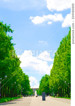 [Osaka Prefecture] July Children play in the water under the refreshing blue sky 104480800