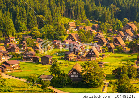 Shirakawa-go in summer (evening view) 104481213