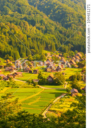 Shirakawa-go in summer (evening view) Shirakawa-go in summer (evening view) 104481271