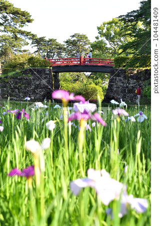 花園在小田原城堡公園 花園在小田原城堡公園 104481409