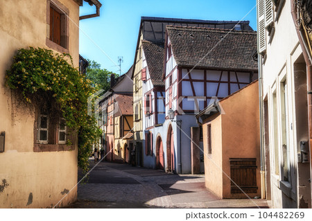 Alsatian half timbered houses in colmar Alsatian half timbered houses in colmar 104482269