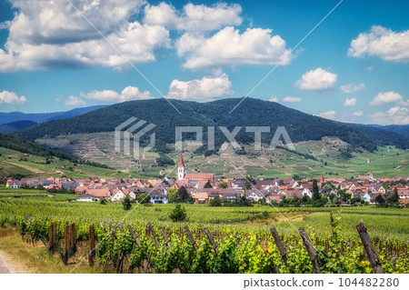 Ammerschwihr alsatian vineyards 104482280