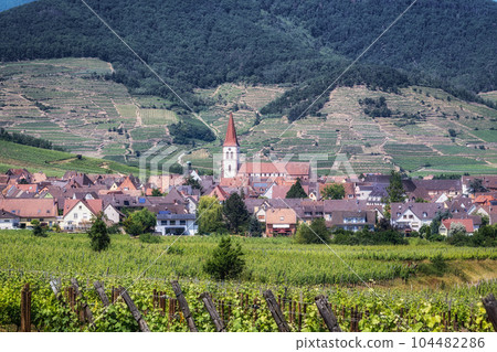 Ammerschwihr alsatian vineyards 104482286