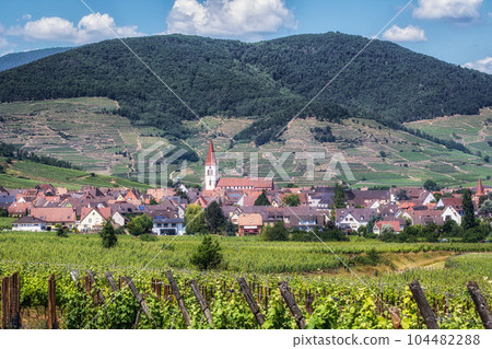 Ammerschwihr alsatian vineyards 104482288
