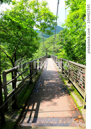 袋田瀑布吊橋 104482595