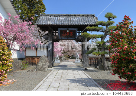 山梨縣南阿爾卑斯市上一之瀨 著名的賞櫻勝地高峰山妙靈寺 104483693