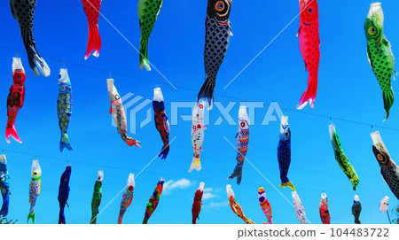 Carp streamers and blue sky scenery at "Kawaguchi Shibakawa Carp Streamer Festival 2023" Carp streamers and blue sky scenery at "Kawaguchi Shibakawa Carp Streamer Festival 2023" 104483722
