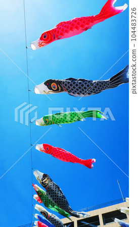 Carp streamers and blue sky scenery at "Kawaguchi Shibakawa Carp Streamer Festival 2023" 104483726
