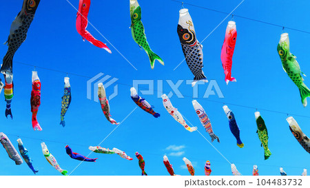 Carp streamers and blue sky scenery at "Kawaguchi Shibakawa Carp Streamer Festival 2023" 104483732