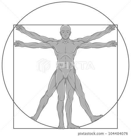 Vitruvian man Vector design Vitruvian man Vector design 104484076