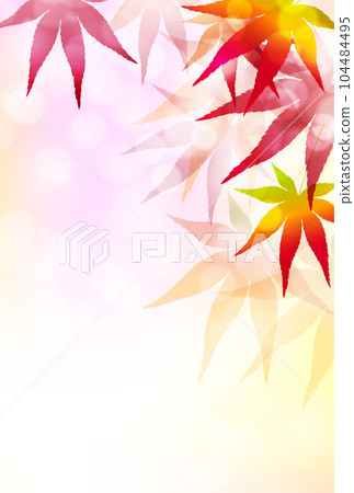  Autumn leaves maple autumn background 104484495