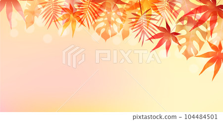  Autumn leaves maple autumn background 104484501