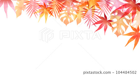  Autumn leaves maple autumn background 104484502