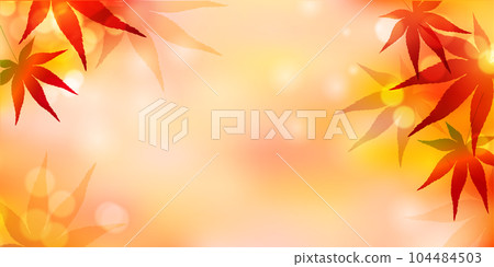 Autumn leaves maple autumn background Autumn leaves maple autumn background 104484503