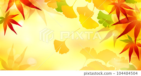 Autumn leaves maple ginkgo autumn background 104484504