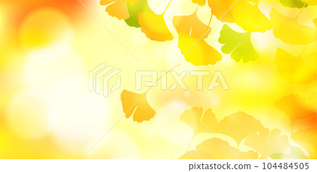 Autumn leaves ginkgo autumn background 104484505
