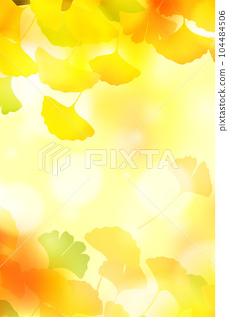 Autumn leaves ginkgo autumn background 104484506