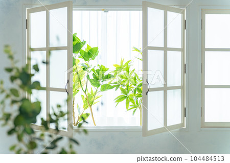 Windows and plants Solarium Windows and plants Solarium 104484513